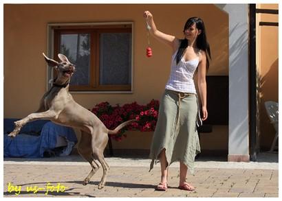 img_1108-blog.jpg