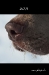 2011_00-web_0