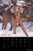 2011_02-web_0