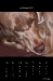2011_03-web_0