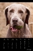 2011_04-web_0