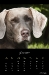 2011_06-web_0