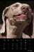 2011_07-web_0