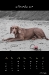 2011_11-web_0