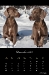 2011_12-web_0