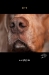 2010_00-web