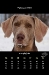 2010_02-web
