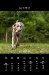 2010_04-web