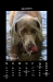 2010_05-web