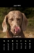 2010_06-web