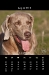 2010_08-web