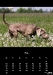 07juni.jpg